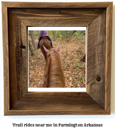 trail rides near me in Farmington, Arkansas